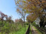 s200406_557_n50.jpg