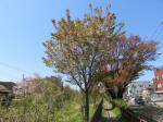 s200406_563_n47.jpg