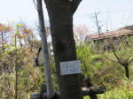 s200406_565_n47.jpg