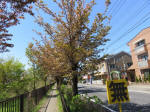 s200406_599_349.jpg