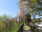 s200406_601_n28.jpg