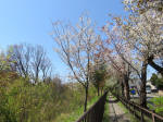 s200406_617_n24.jpg