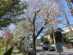 s200406_626_337.jpg
