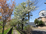 s200406_631_336.jpg