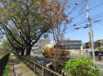 s200406_634_334.jpg
