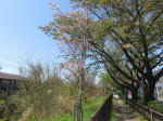 s200406_637_n19.jpg