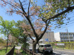 s200406_645_331.jpg