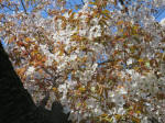 s200406_646_331.jpg
