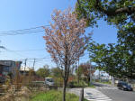 s200406_648_n16.jpg