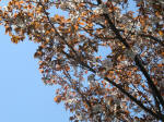s200406_649_n16.jpg
