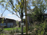 s200406_663_kn54.jpg