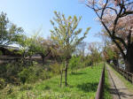 s200406_666_kn54.jpg