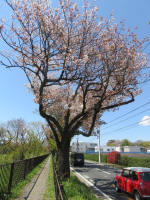 s200406_668_323.jpg