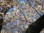 s200406_669_323.jpg