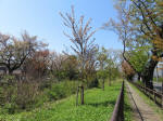 s200406_671_kn53.jpg