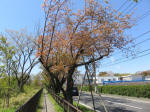 s200406_673_318.jpg