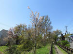 s200406_685_kn45.jpg