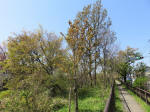 s200406_688_kn44.jpg