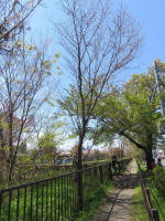 s200406_693_307-1.jpg