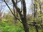 s200406_695_307-1.jpg