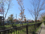 s200406_697_kn43.jpg