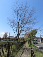 s200406_700_305-1.jpg
