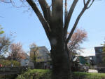 s200406_702_305-1.jpg