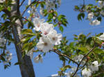 s200406_704_304-2.jpg