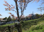 s200406_711_kn42.jpg
