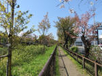 s200406_717_298.jpg