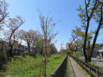 s200406_734_kn67.jpg