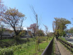 s200406_736_kn64.jpg