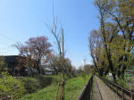 s200406_738_kn62.jpg