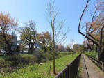 s200406_742_kn60.jpg
