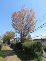 s200406_759_s38.jpg