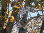 s200406_760_s38.jpg
