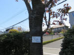s200406_761_s38.jpg