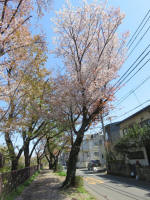 s200406_781_833.jpg