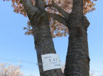 s200406_799_s37.jpg