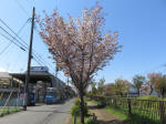 s200406_800_s36.jpg