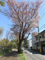 s200406_804_798.jpg