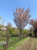 s200406_817_s17.jpg