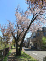 s200406_819_737.jpg