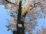 s200406_820_737.jpg