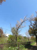 s200406_821_734.jpg