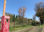 s200406_825_s33.jpg