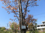 s200406_826_33.jpg