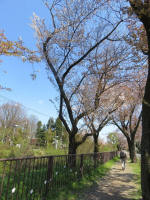 s200406_827_700.jpg