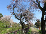 s200406_831_690.jpg