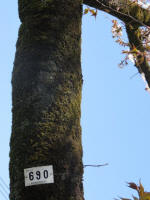 s200406_833_690.jpg